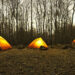 Flagermuslygter til camping – sådan skaber du hygge og sikkerhed i mørket
