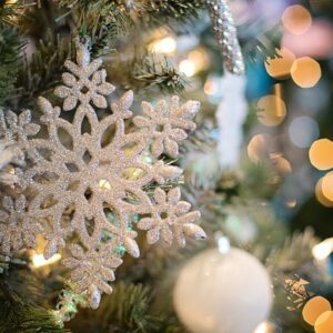 Sådan undgår du vandspild med den ideelle juletræsfod