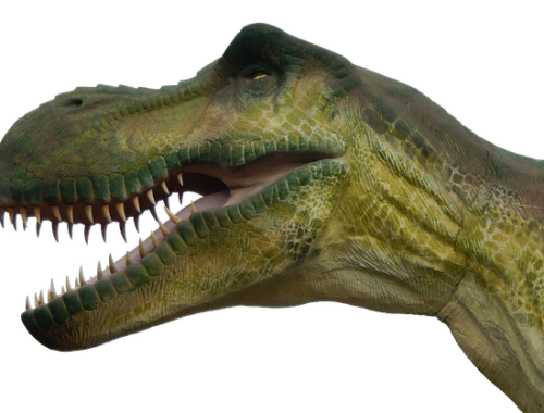Få en autentisk oplevelse med Konges Sløjds realistiske dinosaur legetøj