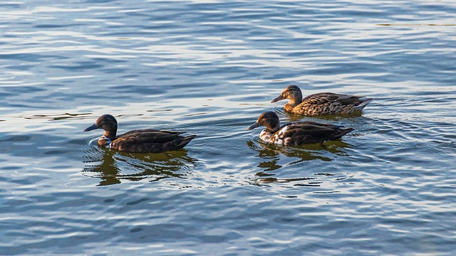 10 smarte tips til at knække krydsordskoden